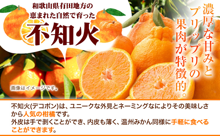 厳選 不知火 約10kg+250g（傷み補償分）【デコポンと同品種・人気の春みかん】【光センサーで食べ頃出荷】 池田鹿蔵農園@日高町（池田農園株式会社）《2月上旬-3月末頃出荷》和歌山県 日高町【配送