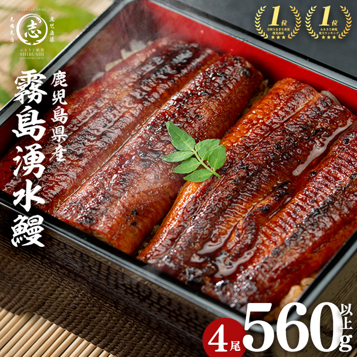 【志布志市人気No.1お礼の品】霧島湧水鰻の蒲焼き 140g以上×4尾＜計560g以上＞ うなぎ 鰻 ウナギ 4尾 国産 九州産 蒲焼き かばやき 冷凍 うな重 ひつまぶし タレ 山椒 ランキング 人