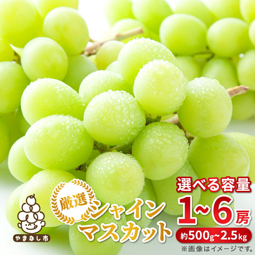 【ふるさと納税】2026年発送 山梨県産 シャインマスカット 約500g / 約1kg / 約2.5kg _ シャインマスカット マスカット 果物 くだもの フルーツ 葡萄 ぶどう 人気 おすすめ 送料無料 山梨 秀品【配送不可地域：離島・沖縄県】【G1272527】