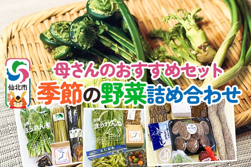 
                  《2026年8月上旬配送》母さんのおすすめセット～季節の野菜詰め合わせ～ [旬の味覚 山の幸 詰め合わせ 東北 秋田 産地直送 グルメ お取り寄せ]
                