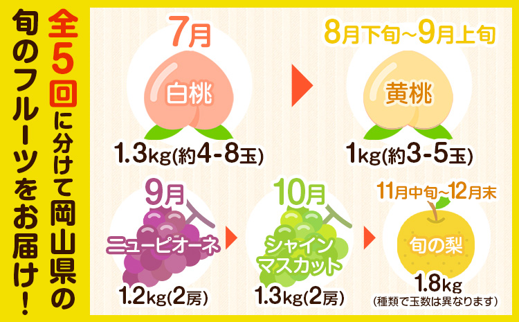 フルーツ 定期便 全5回 岡山県の 贅沢 フルーツ定期便 白桃 黄桃 ニューピオーネ シャインマスカット 梨《2026年7月-2027年12月末頃出荷》岡山県 矢掛町 送料無料 果物 フルーツ 旬 も
