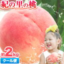 【ふるさと納税】 和歌山県産 紀の里の桃　約2kg (6〜8玉入り)《2025年6月中旬-8月中旬頃出荷》 2025年 先行予約 紀の里の桃 送料無料 白鳳 日川白鳳 なつっこ 清水白桃 川中島白桃 八旗白桃 ギフト 果物 くだもの フルーツ お取り寄せ 和歌山 わかやま もも モモ momo