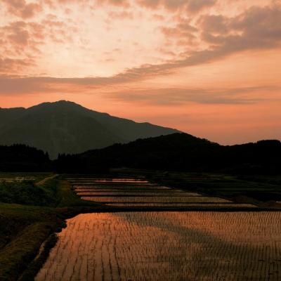 ふるさと納税 村上市 【令和7年産米】新潟県岩船産　棚田米コシヒカリ6kg　A4184 |  | 03