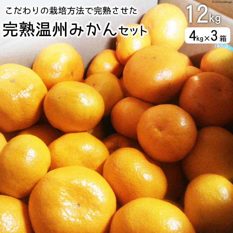 【ふるさと納税】【期間限定発送】 みかん 完熟温州みかんセット 12kg（4kg×3箱） [森崎果樹園 長崎県 雲仙市 item2271] みかん 温州 果物 12キロ 期間限定