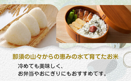 【先行予約】≪10月中旬以降発送≫令和7年産 栃木県大田原市産コシヒカリ「富米」 無洗米　5キロ ｜米 お米 新米 無洗米 コメ こしひかり 5kg