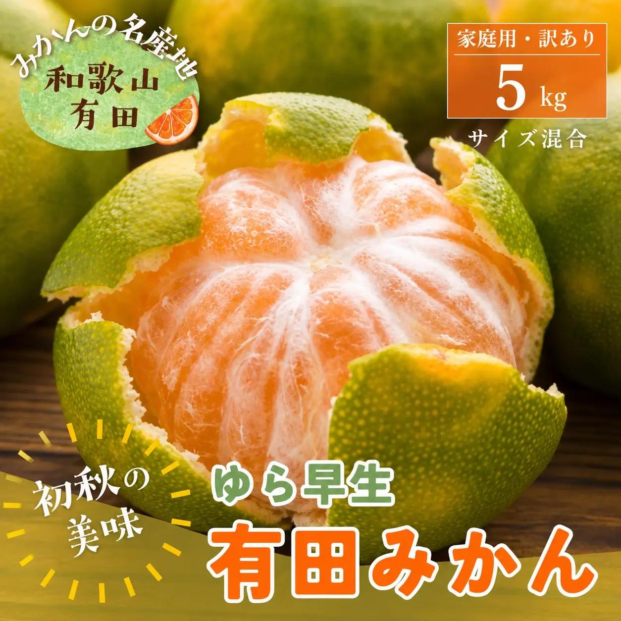 【初秋の美味】有田育ちのご家庭用ゆら早生有田みかん　約5kg +200g(傷み補償分)【サイズ混合】【2026年10月中旬～11月上旬頃に順次発送予定】【ard237A】