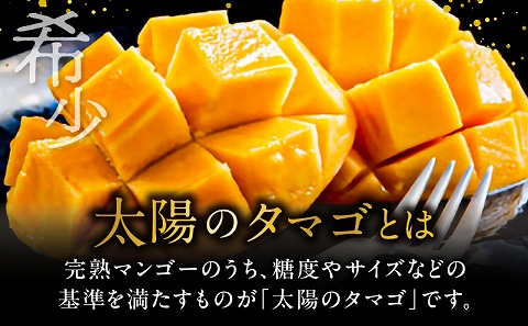 《2026年発送先行予約》【数量・期間限定】太陽のタマゴ2L1玉定期便　全3回_M153-T037