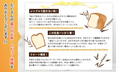 【月2回定期便】パンのピノキオ特製　ふんわり生食パン2本セット（合計12本）【毎月2回3カ月間(全6回お届け)】R6-345