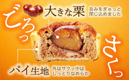 栗がごろっと入った マロンパイ 8個セット 【菓子工房オアシス】 お菓子 焼き菓子 贈り物[MGF004]