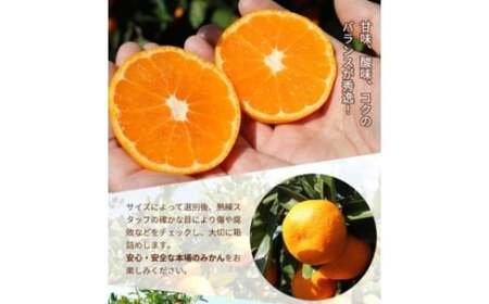 ＼光センサー選別／こだわりの有田みかん 約4kg【ご家庭用】有機質肥料100% ふるさと納税 みかん ※2024年11月中旬～2025年1月上旬頃に順次発送予定 ※沖縄・離島への配送不可