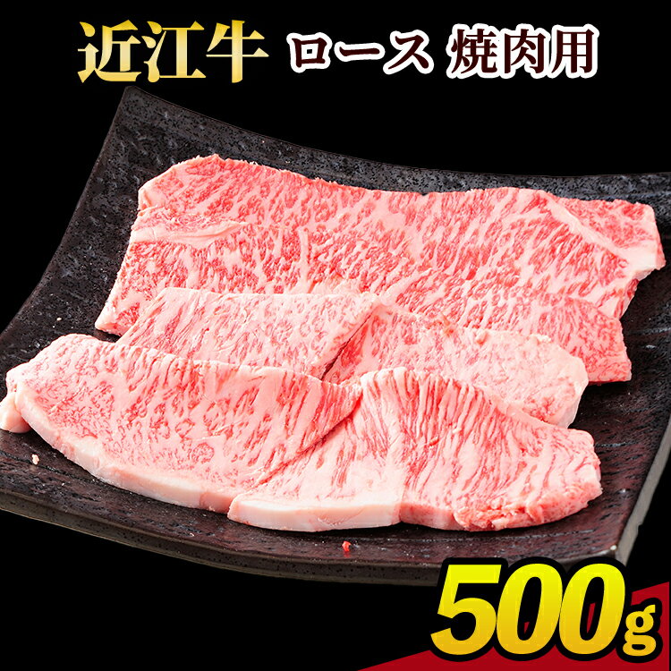 【ふるさと納税】近江牛ロース焼肉用 500g