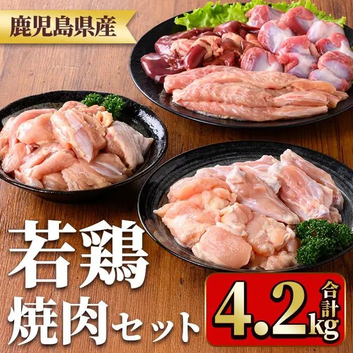鹿児島県産若鶏焼肉セット(6種・合計4.2kg) 国産 鶏肉 鳥肉 肉 若鶏 お肉 もも肉 モモ肉 砂肝 肝 手羽中 肩肉 チキン チキンリブ セット 詰め合わせ 焼き肉 焼肉 やきにく 小分け 冷凍 真空パック 食べ比べ 【TRINITY】_y548