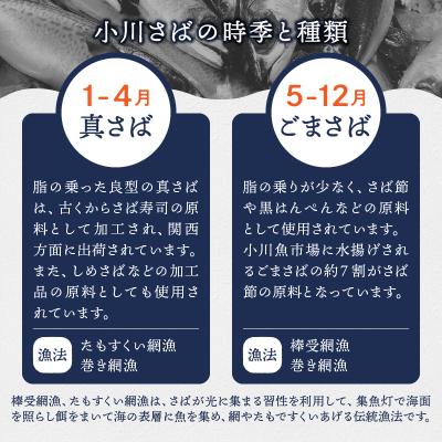 ふるさと納税 焼津市 国産 天然 塩さば フィレ 肉厚 個包装(a16-194) |  | 03