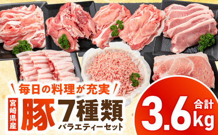 宮崎県産豚バラエティーセット 合計3.6kg 小分 豚肉 国産