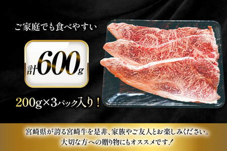 牛肉 宮崎牛 サーロイン ステーキ 200g 3枚 計600g [ローカルブランディング 宮崎県 日向市 452061400] 冷凍 黒毛和牛 黒毛 A4 A5 国産 サーロインステーキ