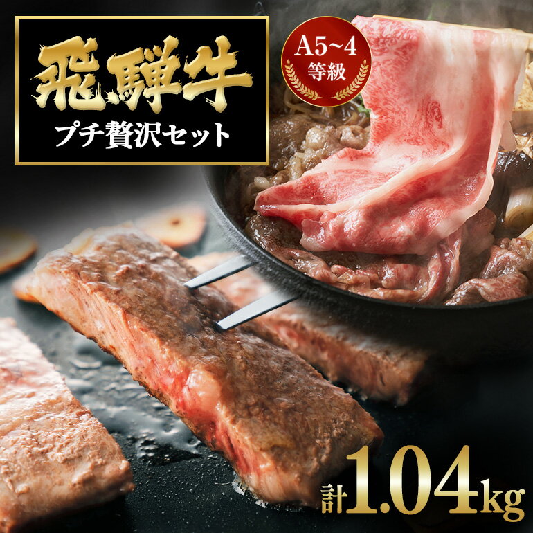 【ふるさと納税】 飛騨牛 A5～4等級 プチ贅沢セット D-1/A-12