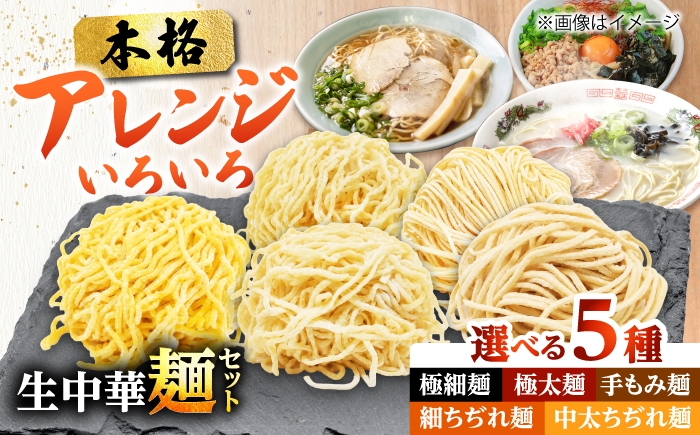 
                  生中華麺 細ちぢれ麺 2袋 （10食） 生麺 ラーメン 中華麺 愛西市 / （株）ダイイチ食品 [AEDU002]
                