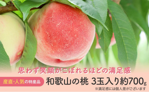 
                  【産直・人気の特産品】和歌山の桃 3玉入り 約700g  ★2025年6月下旬から8月中旬頃順次発送★【TM93】
                