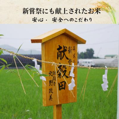 ふるさと納税 小松島市 【令和7年産新米】コシヒカリ 米 10kg 栽培期間中化学肥料・農薬不使用米 |  | 02