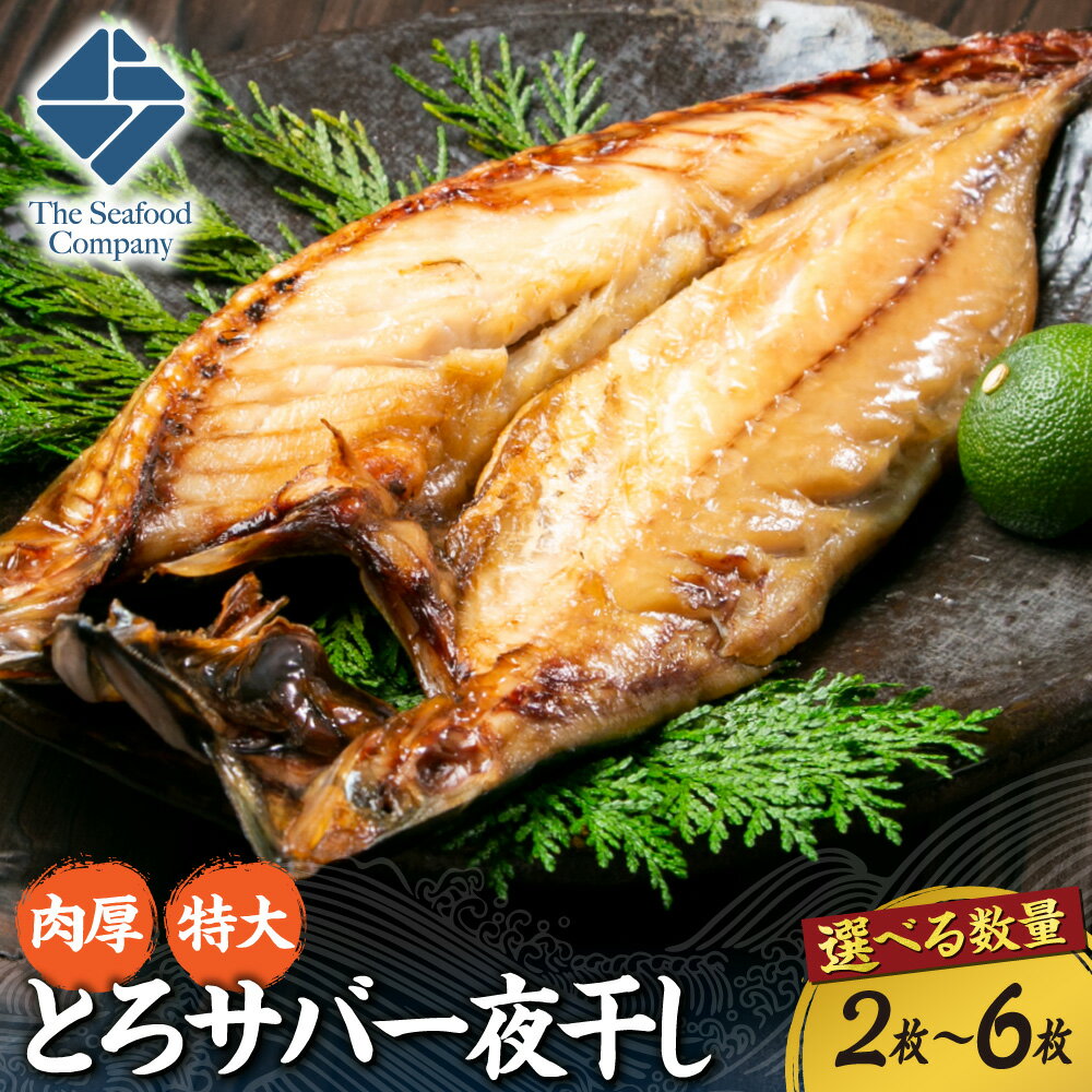 【ふるさと納税】 肉厚 特大 とろサバ 一夜干し 【 選べる 数量 】 2枚～6枚 鯖 さば 開き 国産 焼き魚 干し魚 干物 魚 魚介 水産 厳選 お取り寄せ グルメ 冷凍 おかず おつまみ 北海道 札幌市