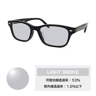 ふるさと納税 和泉市 レイバンフレーム ライトカラーレンズセット(ライトスモーク) RX5345D 2000 |  | 01