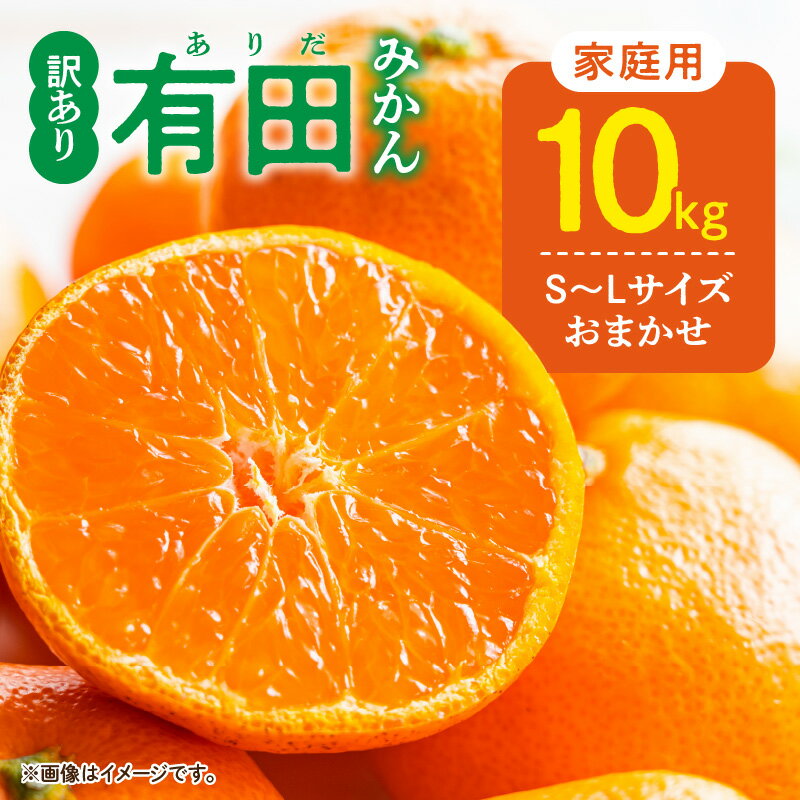 【ふるさと納税】【限定】 ご家庭用 有田みかん 和歌山 S～Lサイズ 大きさお任せ 10kg【ミカン 蜜柑 柑橘 温州みかん 和歌山 有田 訳あり 】