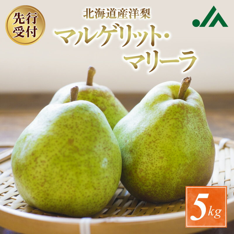 【ふるさと納税】【先行受付：2026年9月中旬以降発送分】洋梨（マルゲリット・マリーラ）5kg 西洋梨 多汁 ソフトな食感 ほどよい甘み やさしい酸味 先行販売 タルト pear ペア コンポート フルーツ 果物 なし 梨 スムージー シャーベット お取り寄せ 北海道 余市町 送料無料