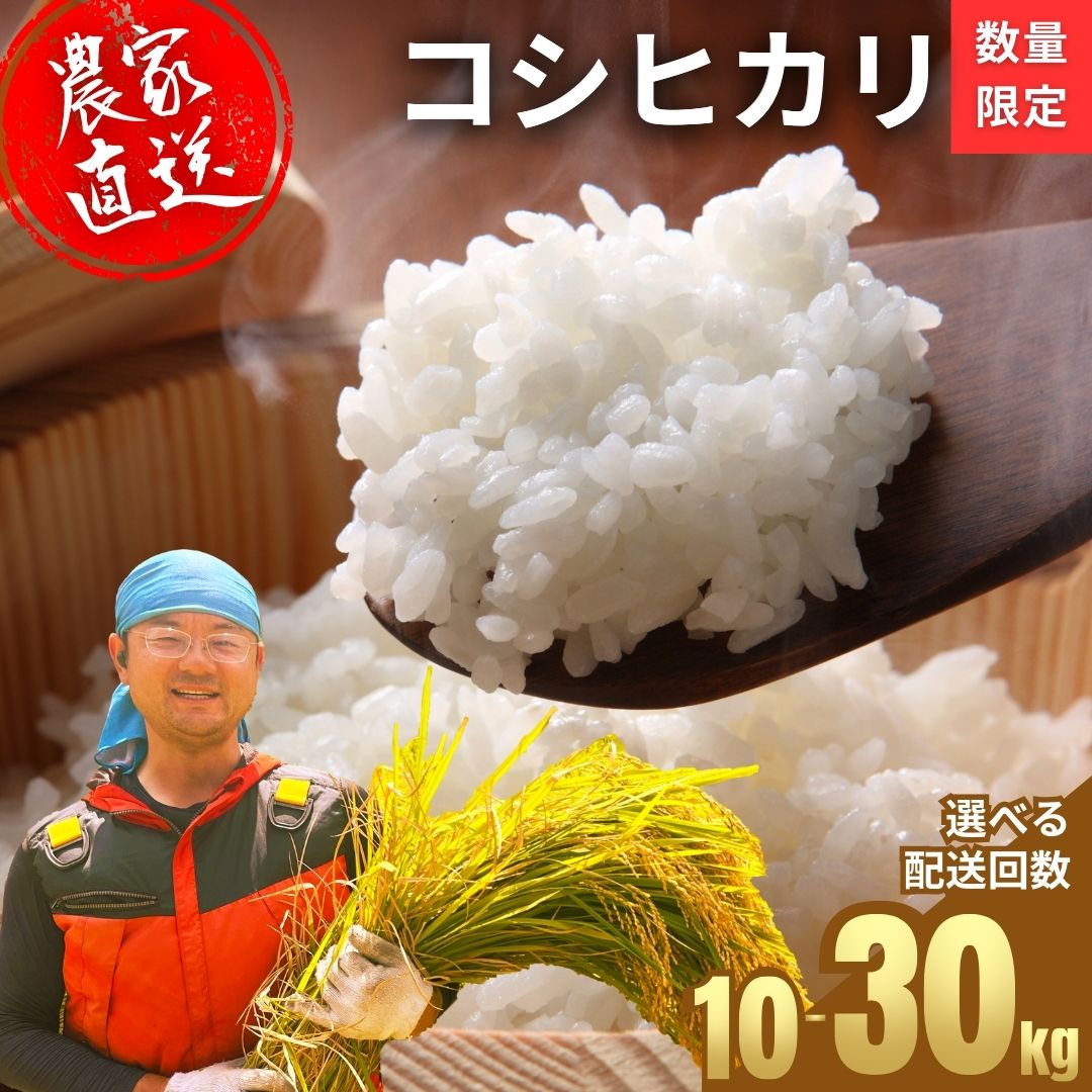 【ふるさと納税】【先行予約】【選べる内容量・配送回数】お米 コシヒカリ 精米 ● ｜竹原市 小梨町 お米農家 おりはし【広島県産 白米 名水 甘み おむすび ご飯 ごはん ゴハン こめ コメ 精米 おにぎり 国産】※2025年9月頃より順次発送予定