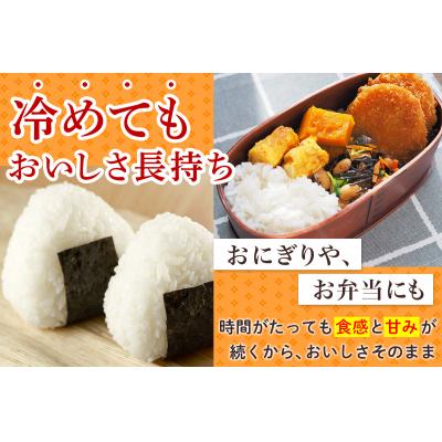 ふるさと納税 つがる市 はれわたり 5kg [0905] |  | 03