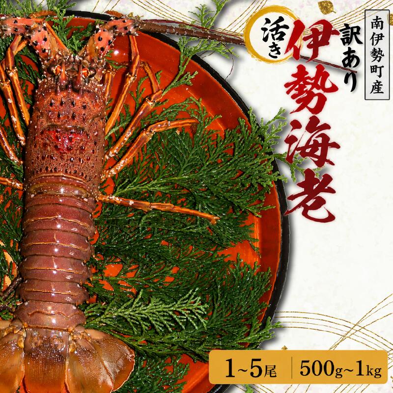 【ふるさと納税】 選べるサイズ！ 訳あり 活き 伊勢海老 約500g～約1kg (冷蔵) / 海鮮 海の幸 海老 伊勢海老 伊勢えび BBQ 刺身 焼き物 お味噌汁 鍋 魚介類 刺身 刺し身 国産 産地直送 いせえび 鍋 ebi iseebi 40000円以下 四万円以下 海宝水産