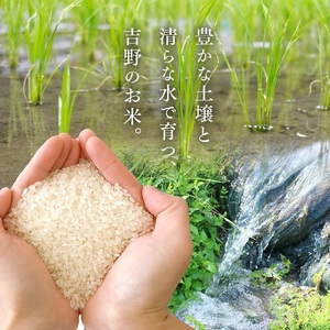 無洗米大和銘米ひのひかり5kg《大西米穀店》