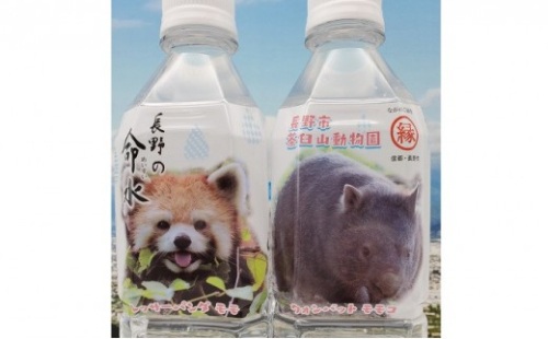 長野の命水（茶臼山動物園ラベル）500ml×24本 飲料類 ミネラルウォーター