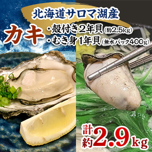 【先行受付】カキ殻付き2年貝約2.5kg・むき身1年貝400g(200g無水パック×2) セット【配送不可地域：離島・沖縄県・信越、北陸・東海・近畿・中国・四国・九州】【1470079】