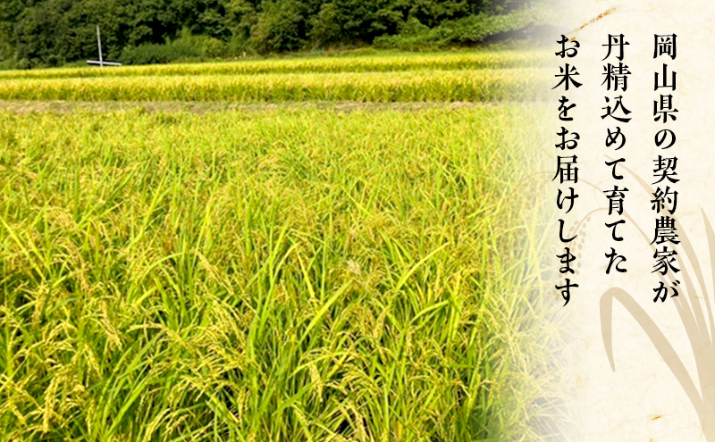 2026年度 先行受付 新米 岡山県産米 白米  あきたこまち 10kg(10kg×1袋) お米 コメ 国産 岡山