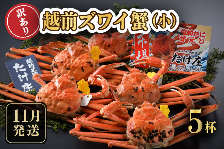 【先行予約】訳あり≪茹で≫越前ズワイ蟹(小) 5杯【2025年11月発送分】 [J-1605_11]