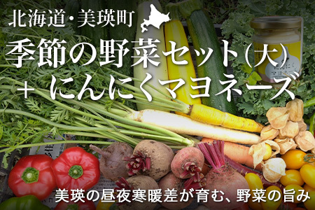 季節の野菜セット（大）＆にんにくマヨネーズ あらいふぁーむ