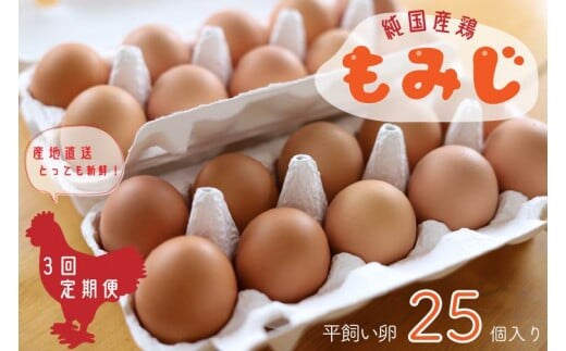 
										
										【純国産鶏もみじ】平飼い卵25個入り【3ヶ月連続お届け】 (AJ006-2)
									