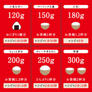 【120g×40食】 パックごはん 低温製法 アイリスオーヤマ ｜ パックごはん レトルト 一人暮らし