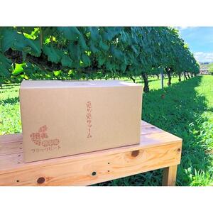 ぶどう ブラックビート 2kg (進物用)