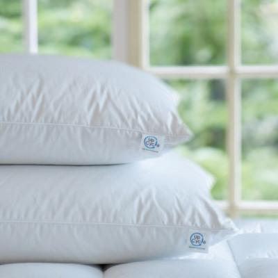 ふるさと納税 道志村 【富士新幸謹製】 50×70cm ダウンピロー「サステナブルな羽毛」アップサイクルダウン 羽毛枕 |  | 02