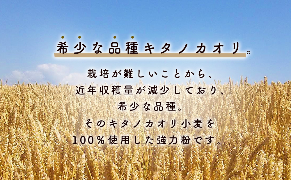 北海道 東神楽町産小麦粉で作る、クッキー手作りセットとひがしかぐらジャム2本〈なつみずき苺とブルーベリー〉