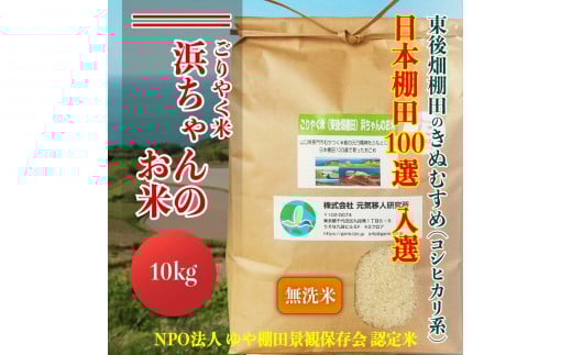 【予約受付】令和7年度産 浜ちゃんのお米 東後畑棚田 きぬむすめ 無洗米 10kg 棚田米 長門市  発送10月上旬から