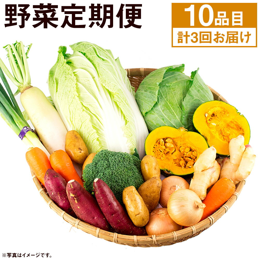 【ふるさと納税】旬の野菜定期便 計3回 旬の野菜 10品【養生市場】 定期便 品種おまかせ ランダム 3ヶ月お届け 計3回 詰め合わせ セット 野菜 九州産 熊本県産 送料無料 《お申し込みの翌月から出荷》