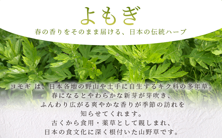 ＜よもぎ＞15g 1袋 国産 野草シリーズ 乾燥 お茶 飲み物 野草酒 料理 ポプリ 化粧品 入浴剤 染料 肥料 アレンジ ハーブティー 持ち運びに便利 プチギフト プレゼント 宮崎県 三股町【MI7