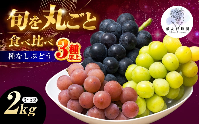 
                  ＜赤秀＞ 種無しぶどう 食べ比べ セット 3～5房 2kg ／ ぶどう ブドウ 葡萄 果物 フルーツ 国産 産地直送 農家直送 愛媛県 内子町産【藤友巨峰園】 [BKCI001]
                
