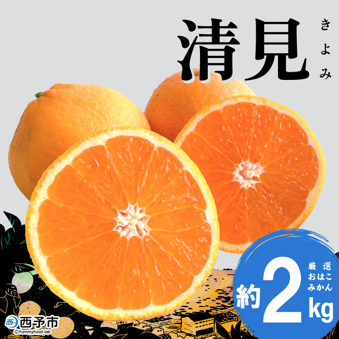＜おはこやがつくる 清見 約2kg（L～3Lサイズ）＞ 果物 くだもの フルーツ 柑橘 きよみ キヨミ きよみたんごーる 清見タンゴール 蜜柑 ミカン みかん 特産品 西宇和 愛媛県 西予市
