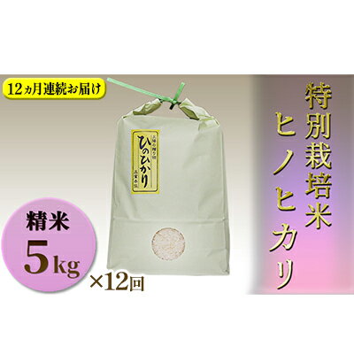 【ふるさと納税】【定期便】特別栽培米　精米　ヒノヒカリ　5kg×12回 お米 香り ツヤ 食感 うまみ 兵庫県認証食品取得 1等米