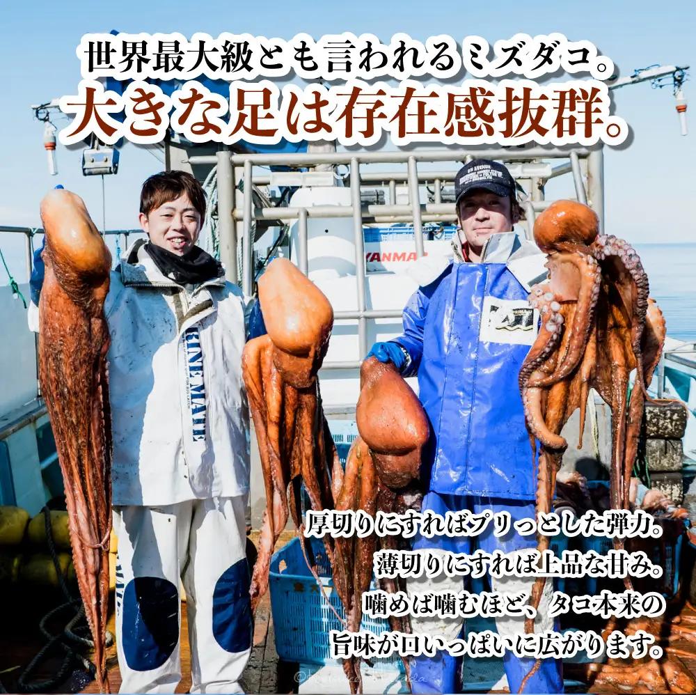 【正規品】極肉厚　煮だこ１本足セット（約1.5kg）　刺身用　ミズダコ　大容量　国産　北海道産　冷凍　ギフト