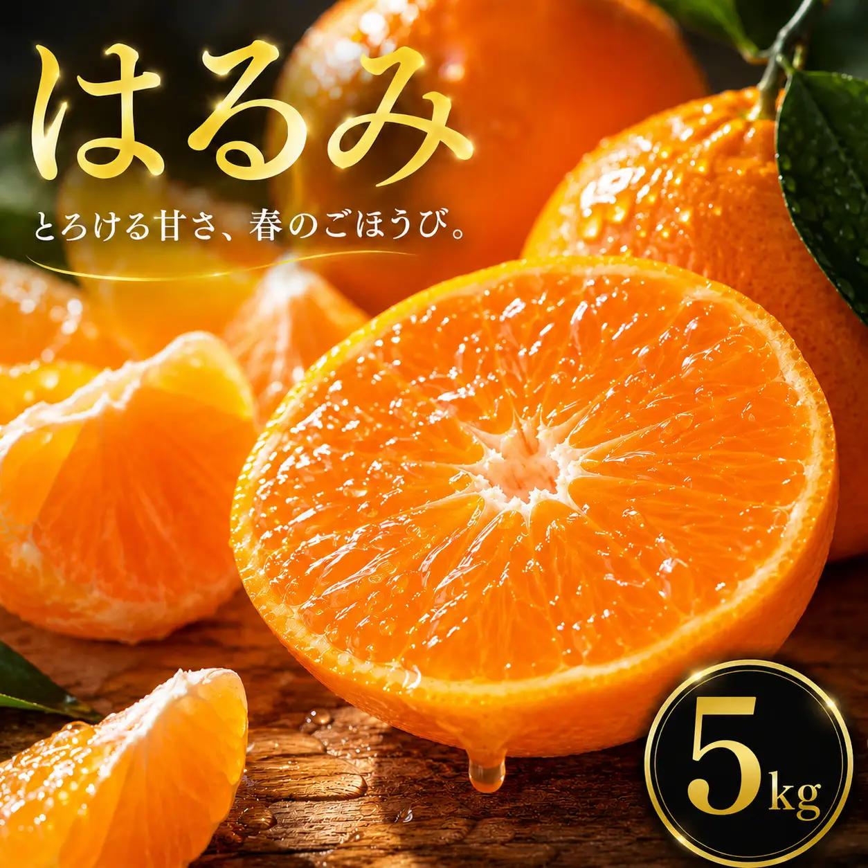 はるみ 家庭用 5kg 【2027年2月中旬頃から順次発送】 | みかん ミカン mikan 蜜柑 訳ありフルーツ 柑橘 果物 おすすめ お勧め お取り寄せ ギフト 愛媛県 松山市 【MKN031】