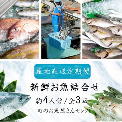 【3回定期便】魚屋さんの選んだ新鮮お魚詰め合わせ(約4人分)　C09002